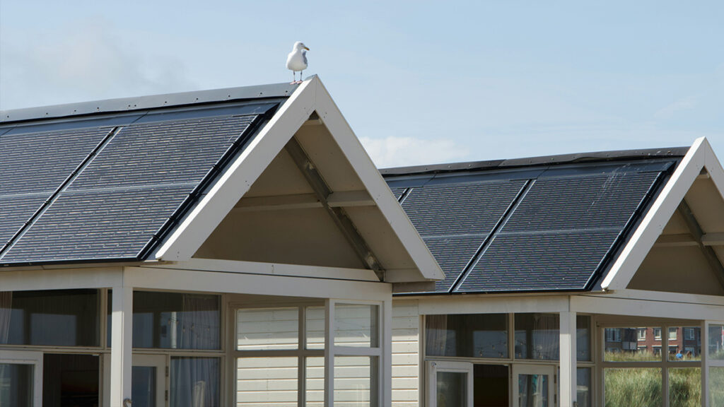 Cabanes de plage avec toits solaires et une mouette perchée sur le toit